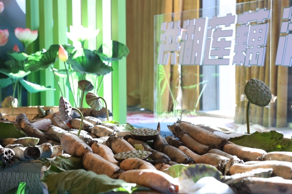 藕莲京城荷力全开 洪湖莲藕品牌价值发布暨品牌发展大会在北京举行