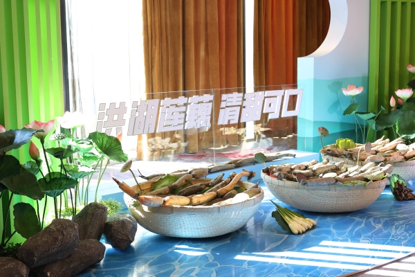 藕莲京城荷力全开 洪湖莲藕品牌价值发布暨品牌发展大会在北京举行