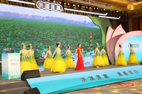 藕莲京城荷力全开 洪湖莲藕品牌价值发布暨品牌发展大会在北京举行