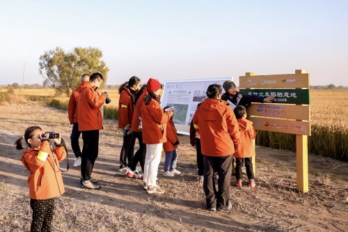 保护地球免疫力，菲仕兰开展生物多样性亲子探索营