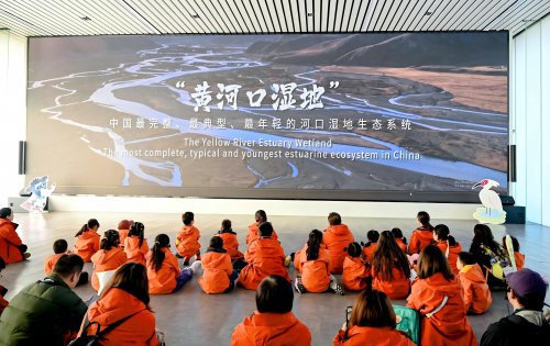 保护地球免疫力，菲仕兰开展生物多样性亲子探索营