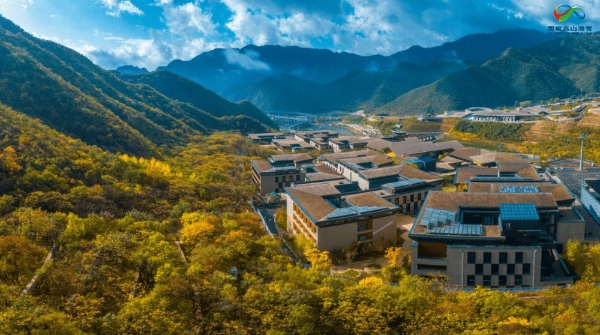 第一批心动榜酒店，已经爆了？