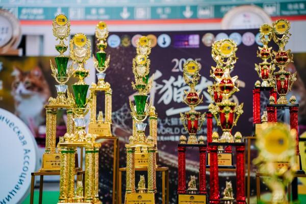 野性集结，魅力绽放！CHARM野性魅力杯2025千猫大会暨九大猫赛联合世界展圆满落幕 