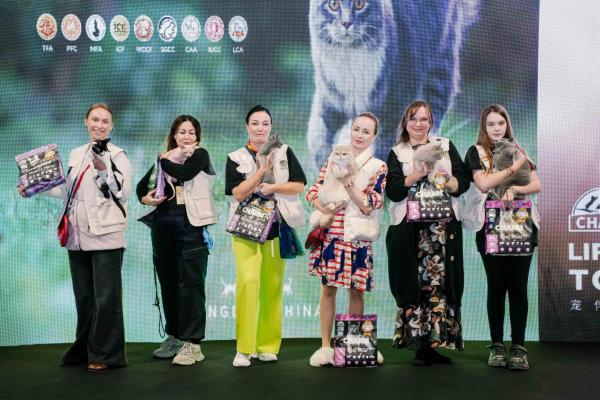 野性集结，魅力绽放！CHARM野性魅力杯2025千猫大会暨九大猫赛联合世界展圆满落幕 