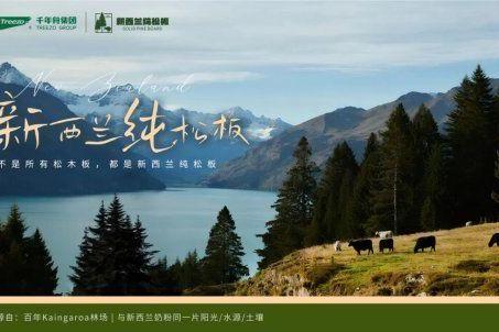 千年舟新西兰纯松板&草木萃系列，新品震撼发布！