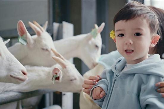 新手爸妈必看：羊奶粉和牛奶粉哪个更有营养？ 