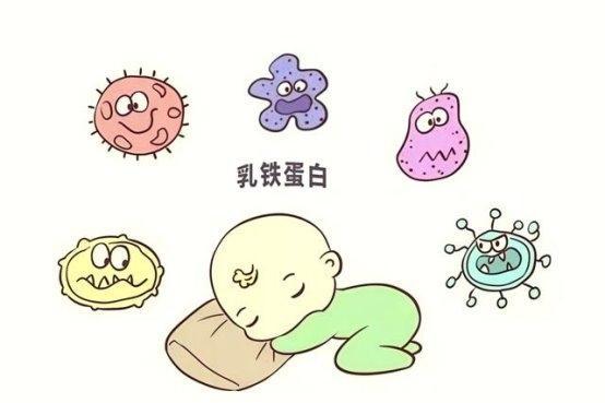 乳铁蛋白奶粉不止提升免疫力！4大核心作用+优质款介绍 