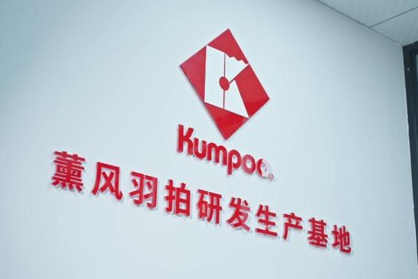 从反向收购薰风到日本建厂：速波体育的逆袭之路 