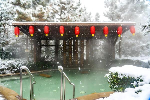 「那香海第二届天鹅童话节」来了！邀您闯入有雪有海有天鹅的冬日胜境~ 