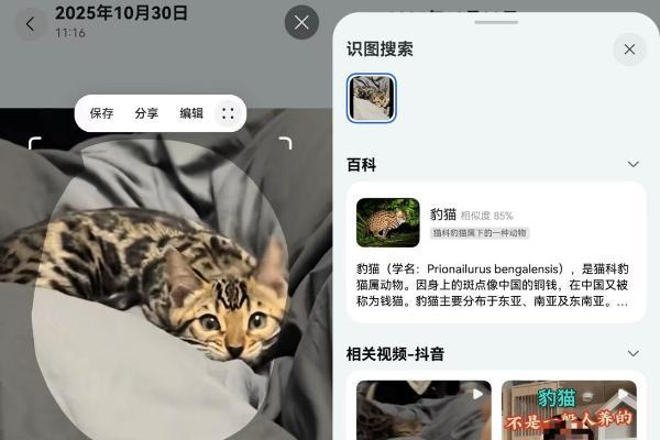 隔空抓取、一碰即传、小艺识图搜索：鸿蒙版抖音全新上线30多项功能，为华为Mate双旗舰带来创新体验 