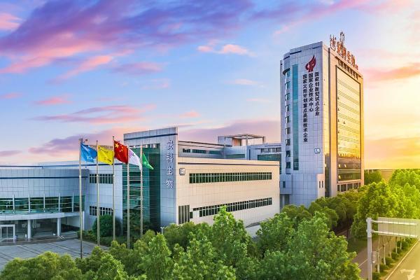 安科生物（上海）创新研究院揭牌，以创新体系与产业链布局赋能生物医药产业高质量发展 