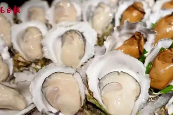 《假期中的她们》汕尾落幕，东鹏补水啦见证山海人文魅力之旅 