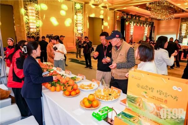 橙黄叶红映中原 巫山恋橙产业兴 ——巫山恋橙暨第十九届重庆长江三峡（巫山）国际红叶节郑州推介会圆满举行 