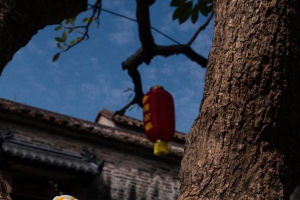 岭南羽球品牌的崛起之路：薰风从本土坚守到国际视野的匠心与超越 