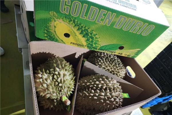 BJM进博会首秀菲果香飘沪上共启贸易新篇 