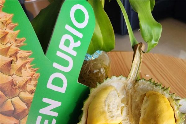 BJM进博会首秀菲果香飘沪上共启贸易新篇 