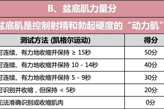 金戈首发“性力指数”，青年健康迎来硬核标准 