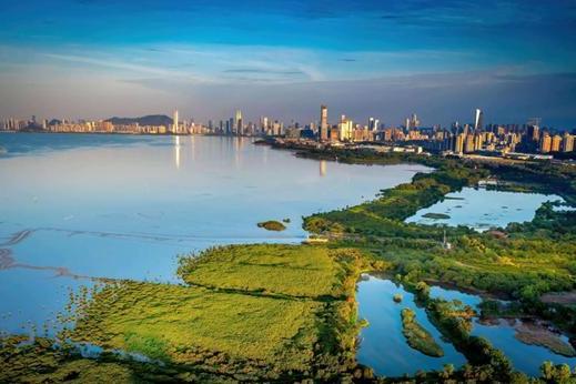 搭建多元平台，携手共护海陆交汇的生命纽带 