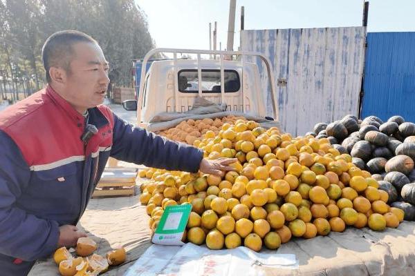 祥菱V5：水果摊主的移动商铺——河北唐山杨师傅的运输升级之路 