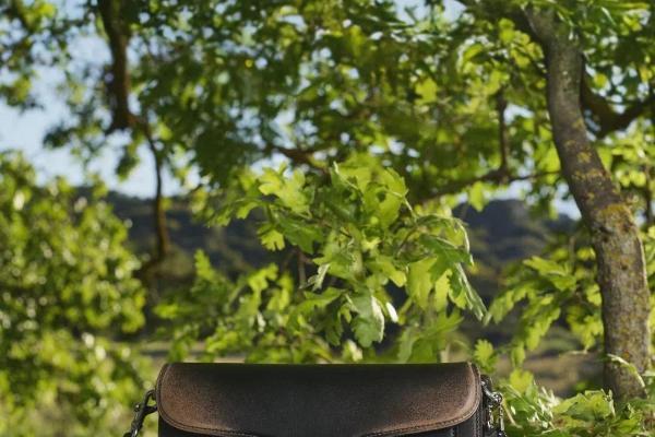 这个双11，线上奢侈品开始抓牢年轻人 