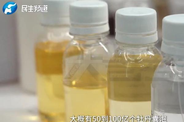 破界而生：丸碧以革命性植物纳米囊泡技术，开启精准护肤新篇章 
