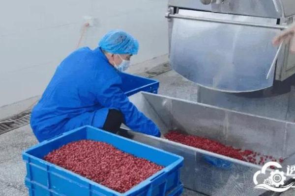 人民网“透明工厂”走进仲景宛西制药 探寻智能制造里的“古方新魂” 