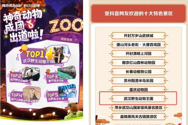 从练习生到顶流：抖音「神奇动物」出道天团迎来高光时刻 