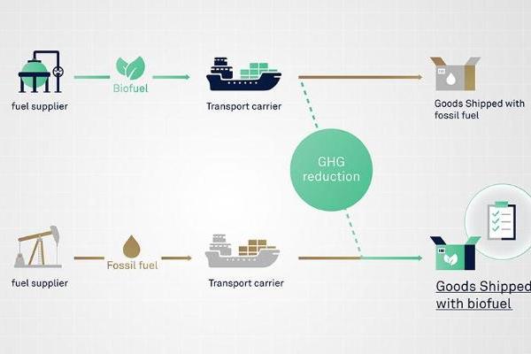 聚焦低碳物流 日邮物流亮相第八届进博会 