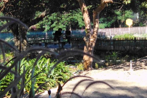 松典VE418震撼登场：以大底高像素重塑入门相机价值标杆 