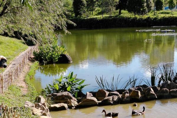 松典VE418震撼登场：以大底高像素重塑入门相机价值标杆 