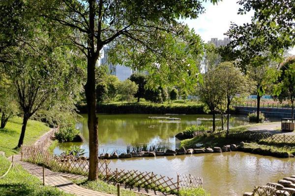 双十一京东数码榜单揭晓，松典相机多款机型霸榜热销 