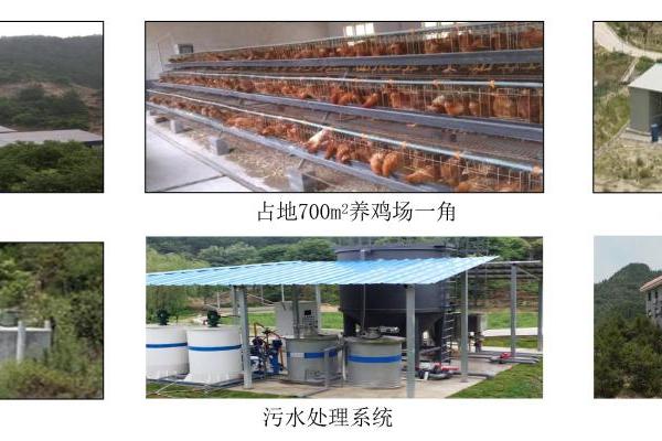 兴嘉生物解码丨精益求精，“质”胜未来