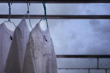 服务全球超10万企业，百奥成华南控湿领域代表性品牌 