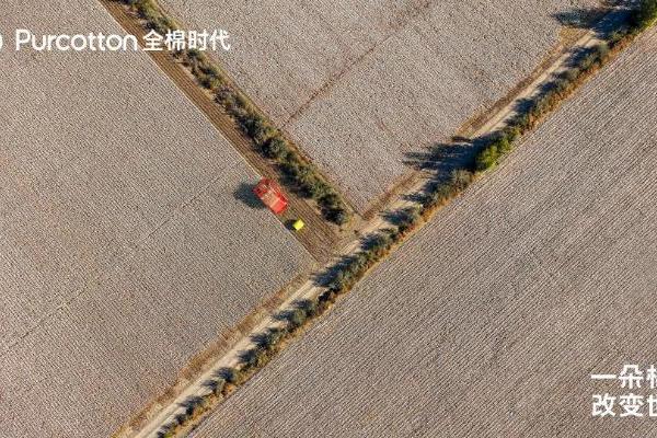 走进棉花的世界 全棉时代记录一朵棉花带来的改变 