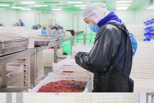 品质为本，长期主义：围满品牌的破局之道