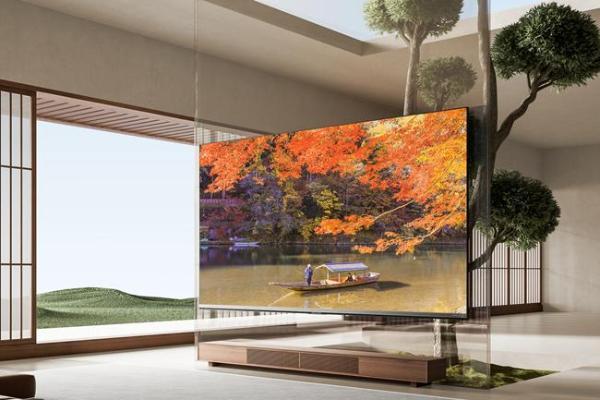 东芝电视音画双芯科技之力 护航《中国器乐大会》传承之美 