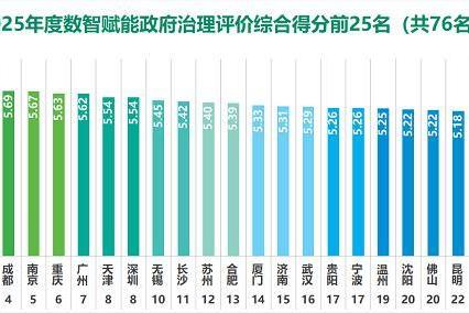 2025数智赋能政府治理评价指数发布 
