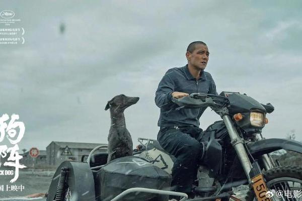 四大赛道、两种引擎，解码文创产业的“静安范式” 