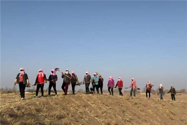 米连科技“绿”动未来，携用户守护绿水青山 