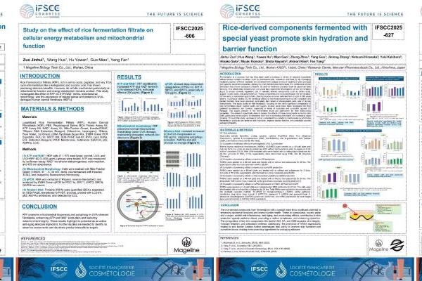 技术贡献金奖背后的系统竞争：麦吉丽如何构建美妆科研新生态？