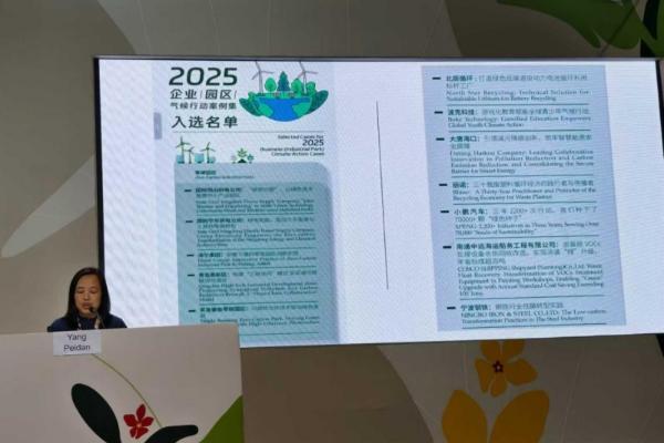 波克公益“游戏+”案例亮相联合国气候变化大会 