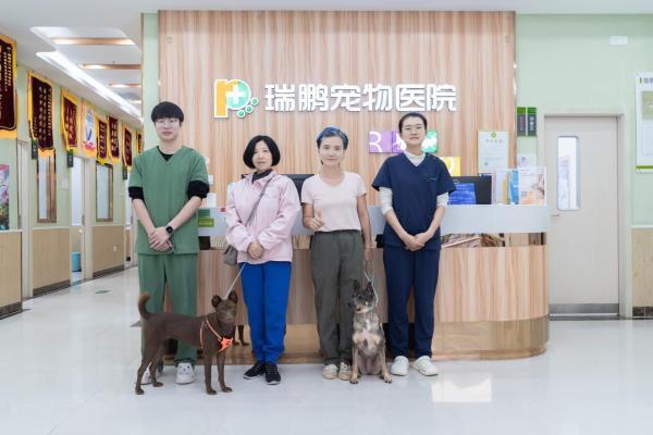 新瑞鹏携手公益伙伴助力“小流浪变身搜救犬”，以专业守护生命的另一种可能 