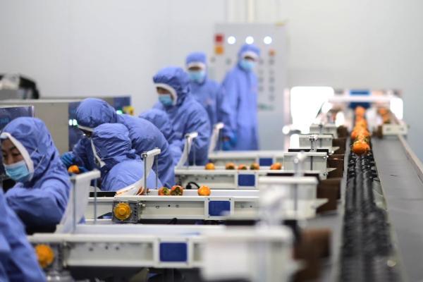 中国三星助力乡村振兴有“质”更有“智” 