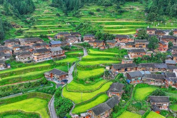 中国三星CSR新三年战略收官 扎实履行社会责任 