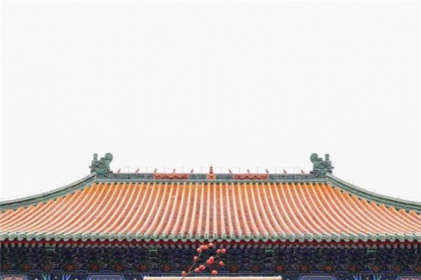 游艺生活家｜古劲今跃，六艺新译 