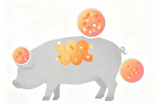 今日科普 | 猪肉虽香，但猪场的味太“上头”了！ 