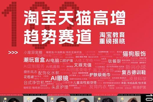 102个蓝海赛道崛起，双11高增长背后的消费新趋势 