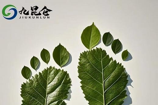 九昆仑低碳科技：以科技构建全球碳中和新生态 