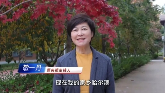 哈尔滨第42届“四季沐歌”公益冰雪集体婚礼征集创历史纪录 