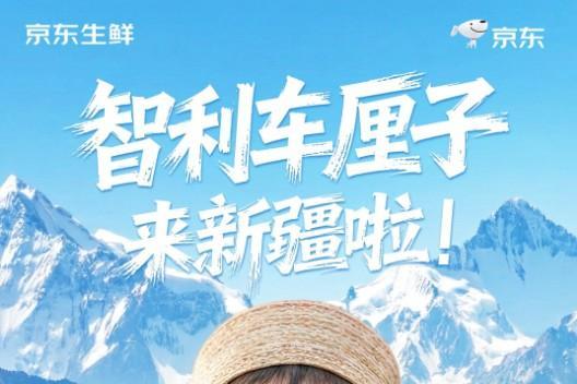 告别“不包邮”！京东生鲜车厘子首次配送进新疆，最快明日达 